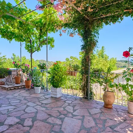 Bougainvillea Escape * Kavvadades