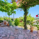 Bougainvillea Escape * Kavvadades